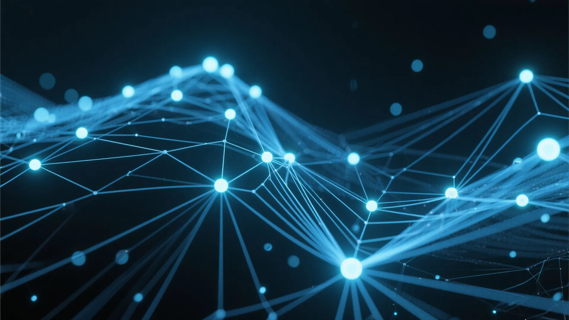 开云体育VIP官网 专属网络